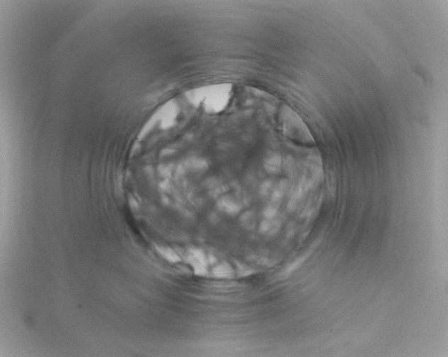 X0000115700575200911251837