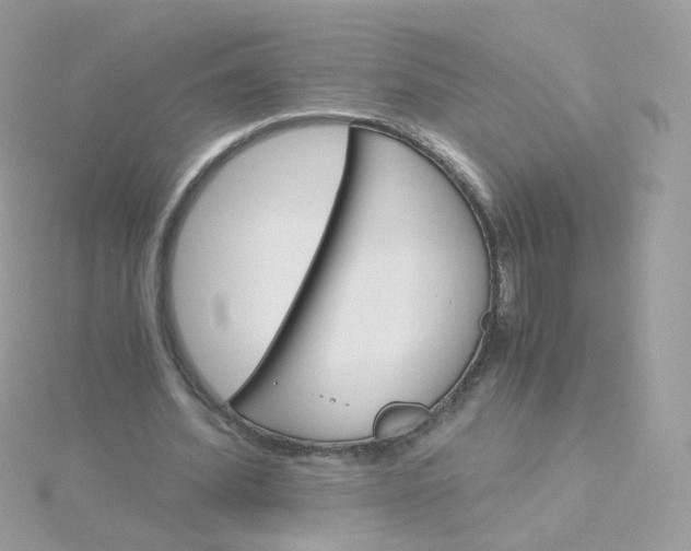 X0000115700580200911251836