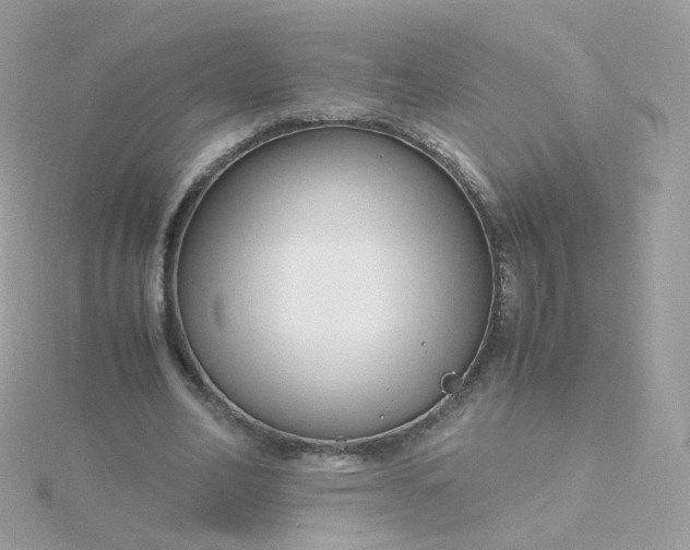 X0000115700582200911251836