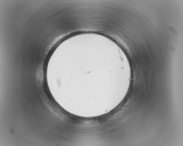 X0000115700584200911251836