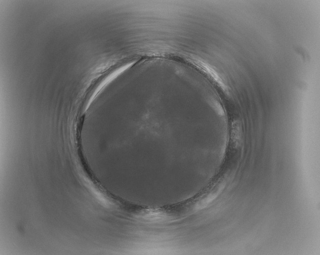 X0000115700589200911251836