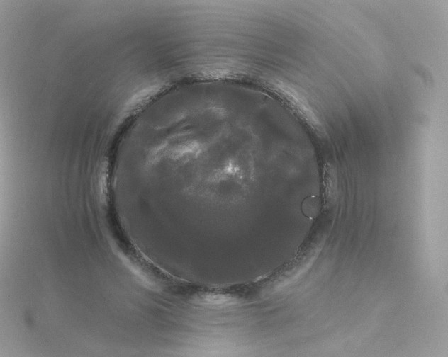 X0000115700590200911251836