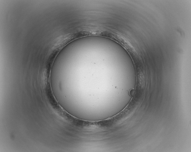 X0000115700594200911251836