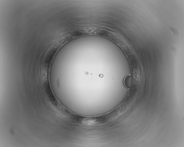 X0000115700602200911251836