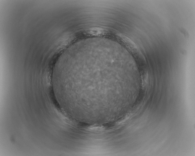 X0000115700606200911251836