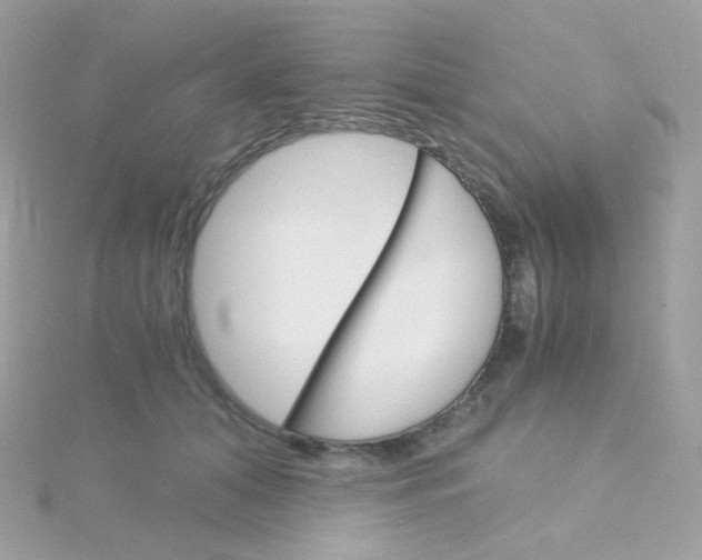 X0000115700608200911251836