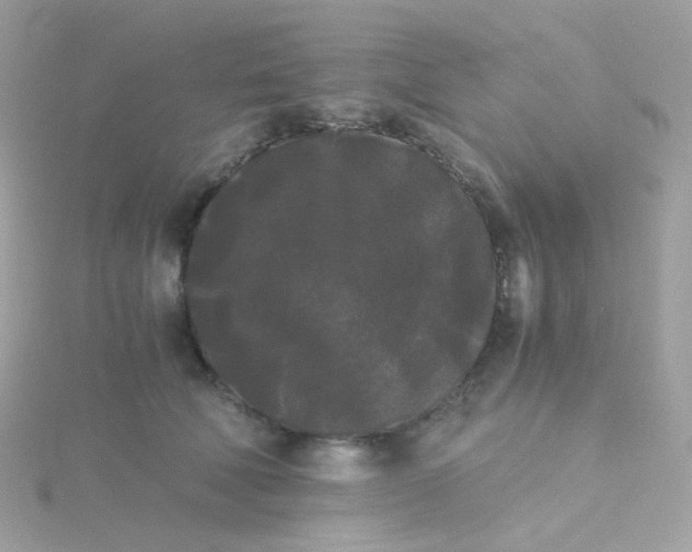 X0000115700610200911251836