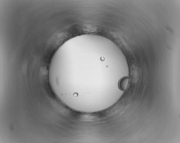 X0000115700614200911251835