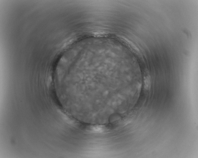 X0000115700618200911251835