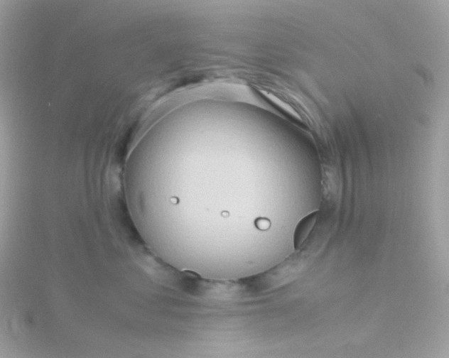 X0000115700621200911251835