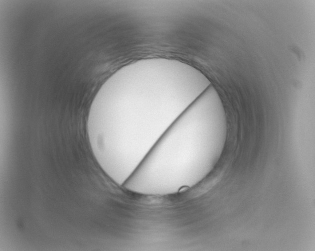 X0000115700624200911251835