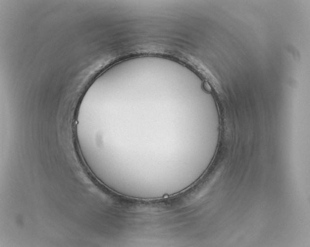 X0000115700625200911251835