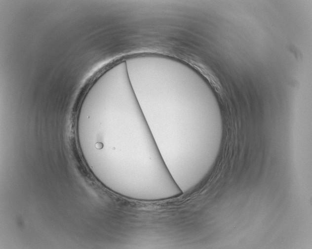 X0000115700628200911251835