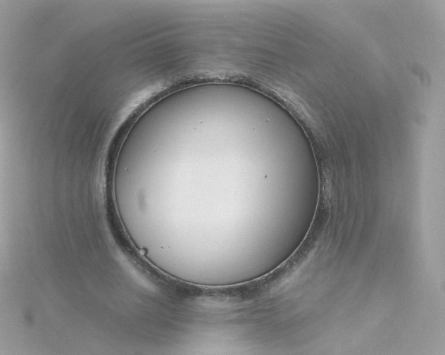 X0000115700630200911251835