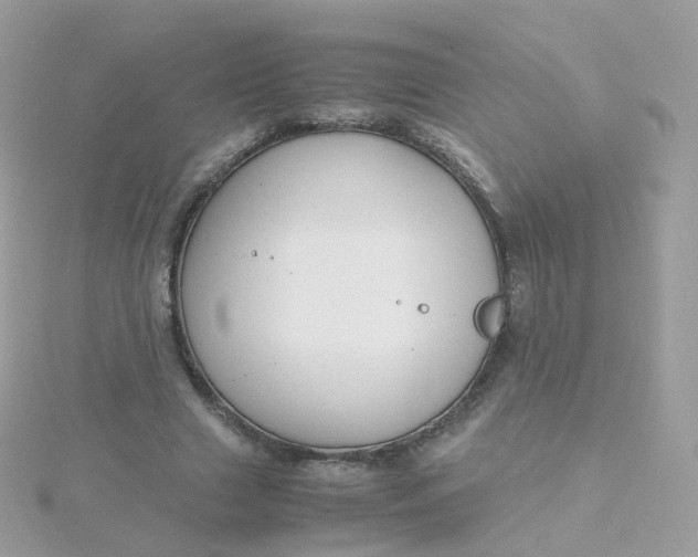 X0000115700633200911251835