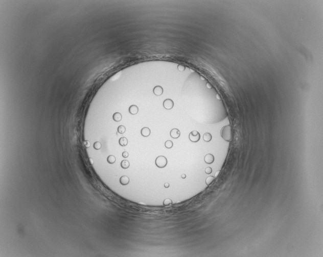 X0000115700635200911251835