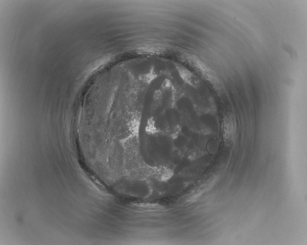 X0000115700637200911251835