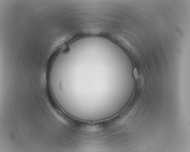 X0000115700638200911251835