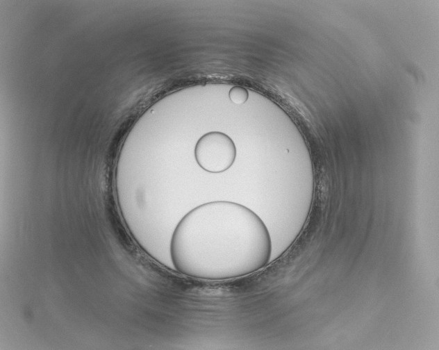 X0000115700639200911251835