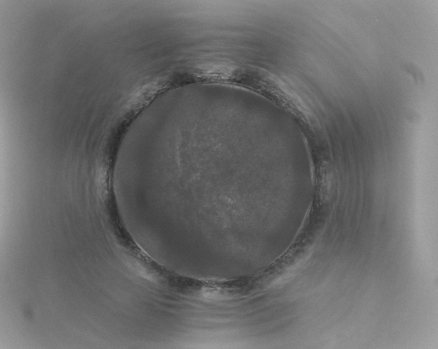 X0000115700641200911251835