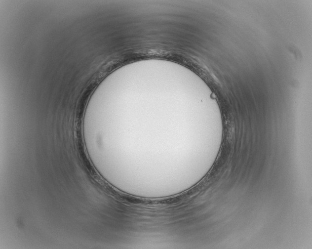 X0000115700643200911251835