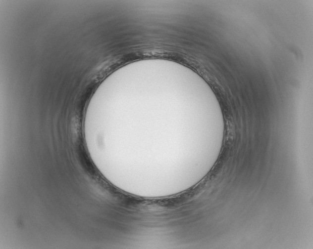 X0000115700648200911251835