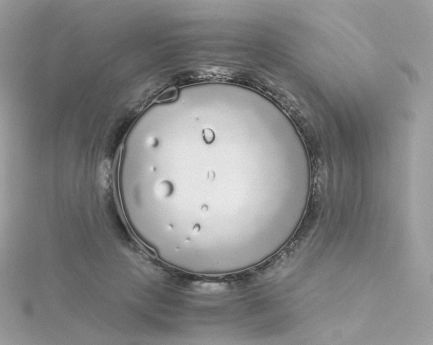 X0000115700649200911251835