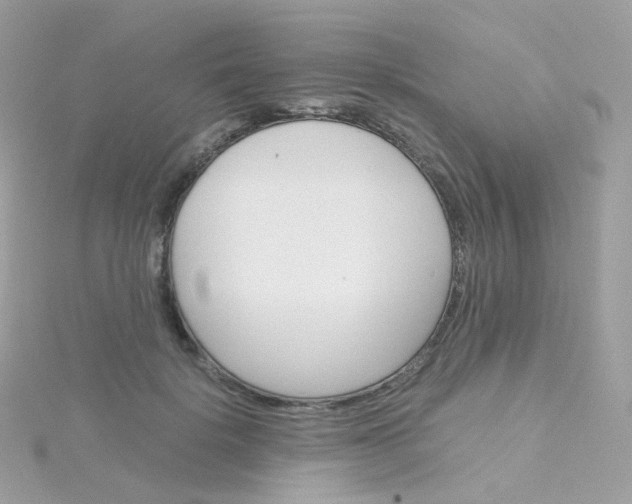 X0000115700652200911251835