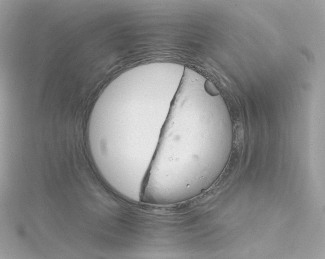 X0000115700655200911251835