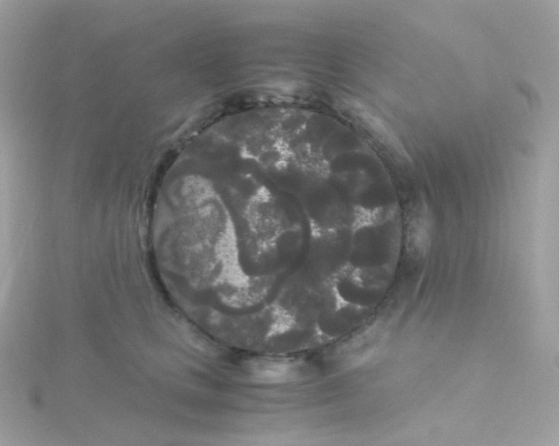 X0000115700661200911251835