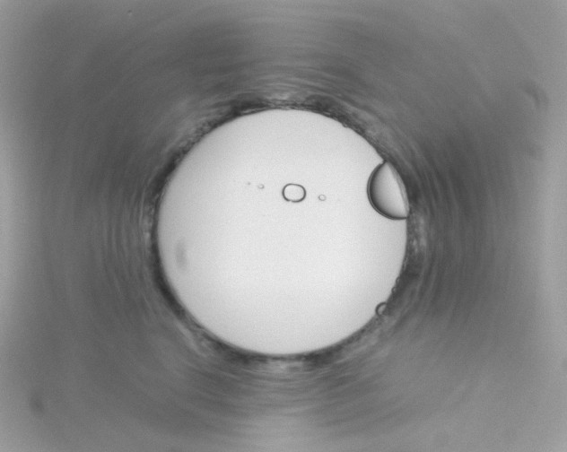 X0000115700664200911251835