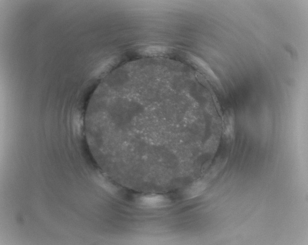 X0000115700669200911251835