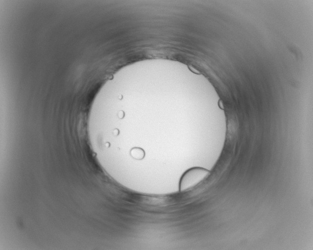 X0000115700671200911251835