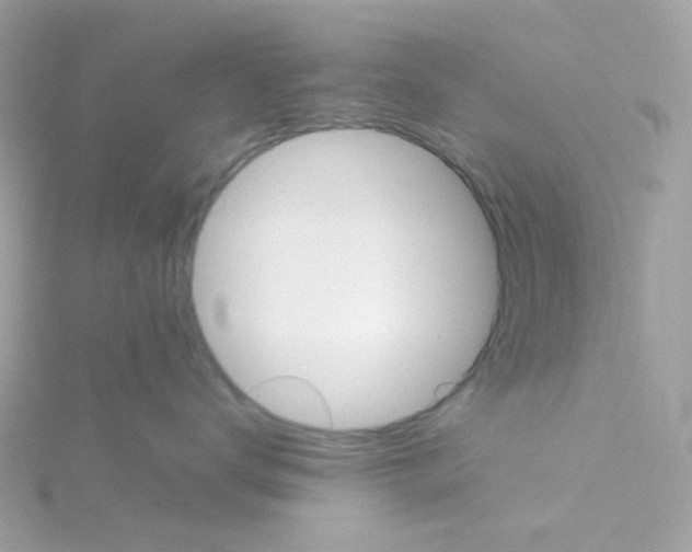 X0000115700672200911251835