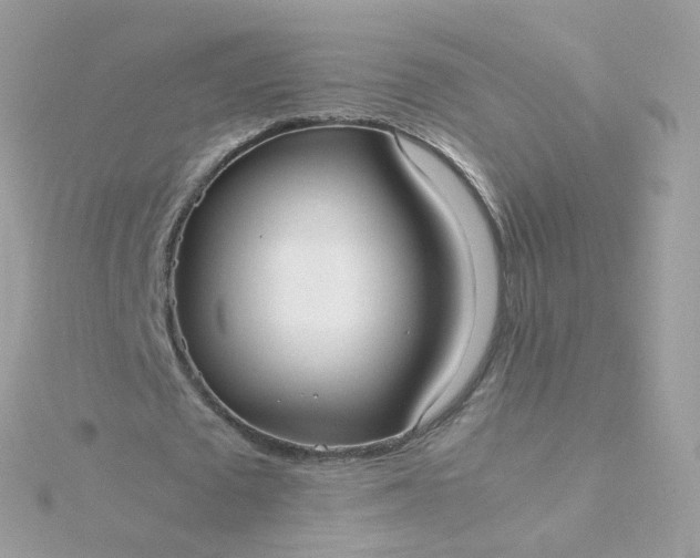 X0000115700673200911251835