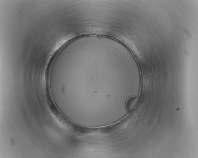 X0000115700674200911251835