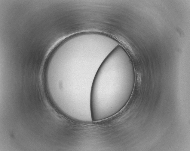 X0000115700676200911251835