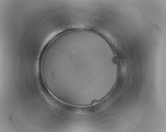 X0000115700678200911251835