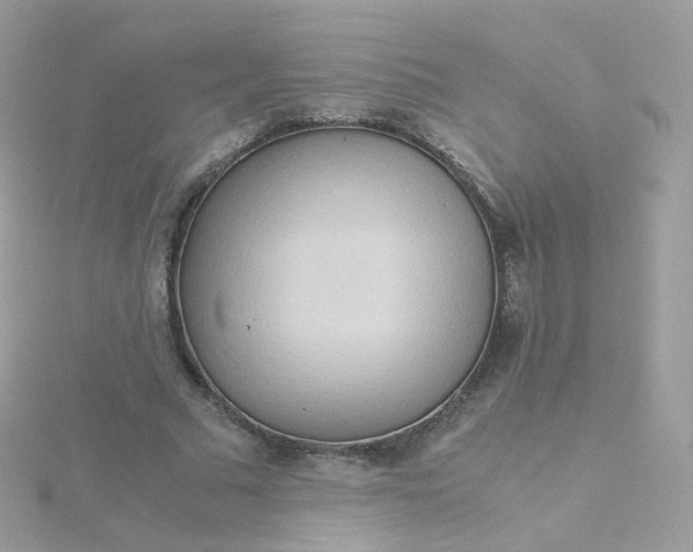 X0000115700681200911251835