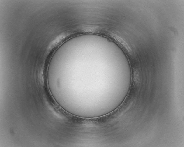 X0000115700682200911251835