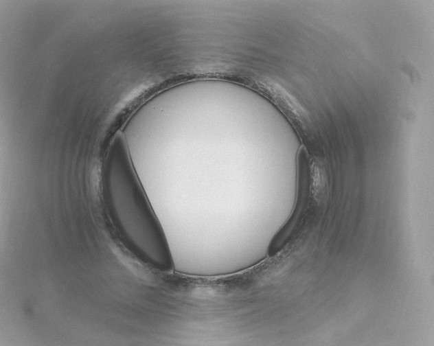 X0000115700684200911251835