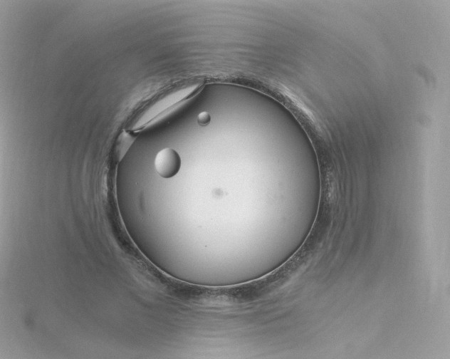 X0000115700685200911251835