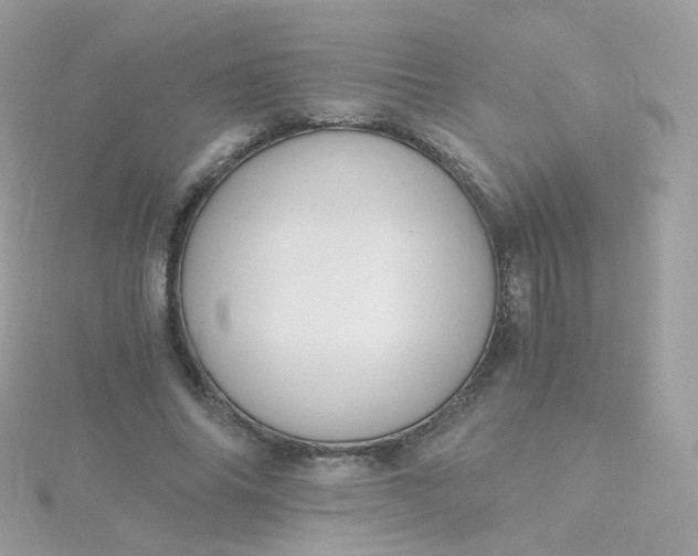 X0000115700686200911251835