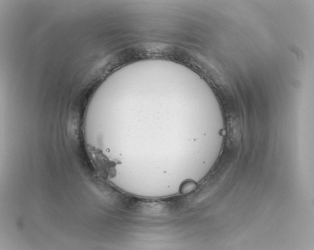 X0000115700698200911251834