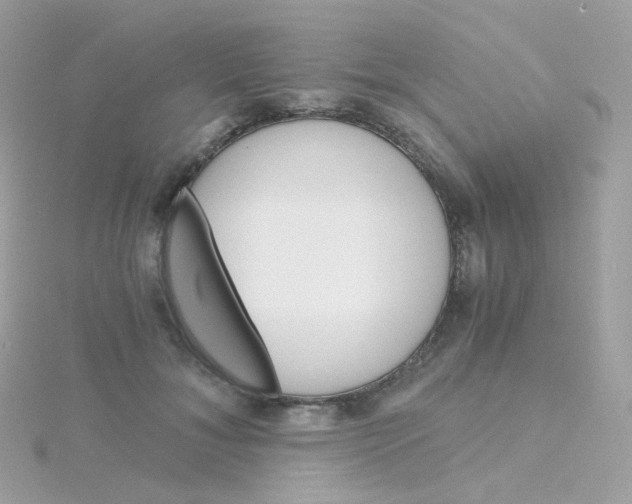 X0000115700700200911251834