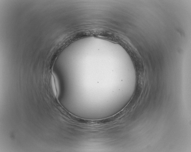 X0000115700701200911251834