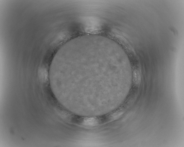 X0000115700705200911251834