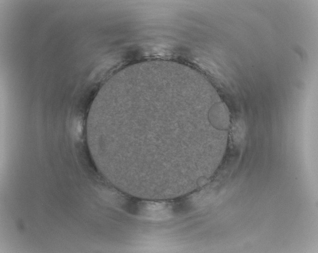 X0000115700709200911251834