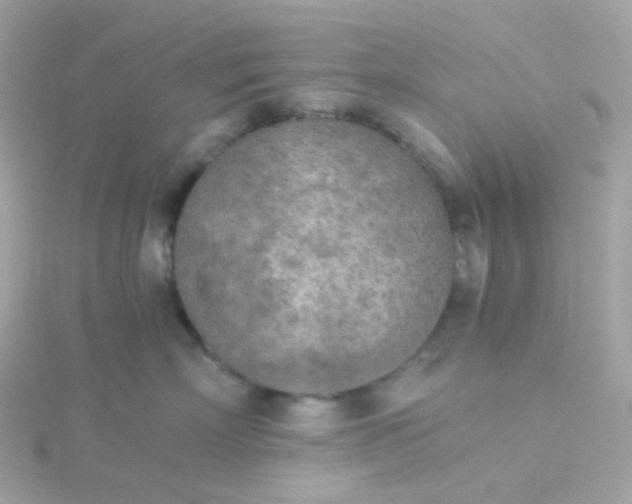 X0000115700718200911251834