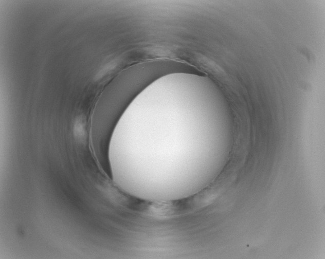 X0000115700720200911251834